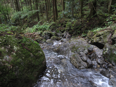 20181009hike (60)